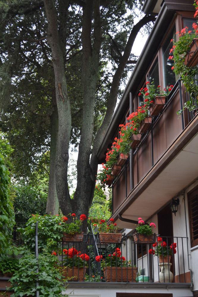 Villa Rosa Etna Apartments Zafferana Etnea Exteriér fotografie